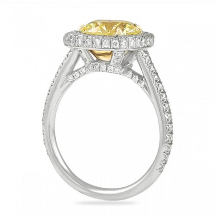 round yellow diamond in cushion halo